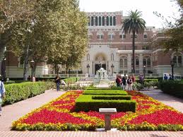 Social Work Degree Center