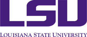 LSU CSWE MSW program online