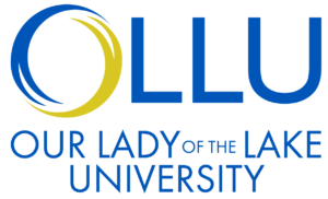 online master of social work