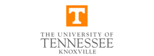 University of Tennessee Knoxville MSW