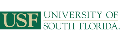 USF Affordable Online CSWE Accredited  Programs