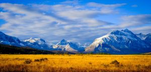 Social Worker in Montana