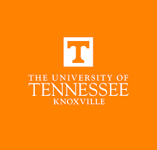 UT Knoxville Forensic Social Work